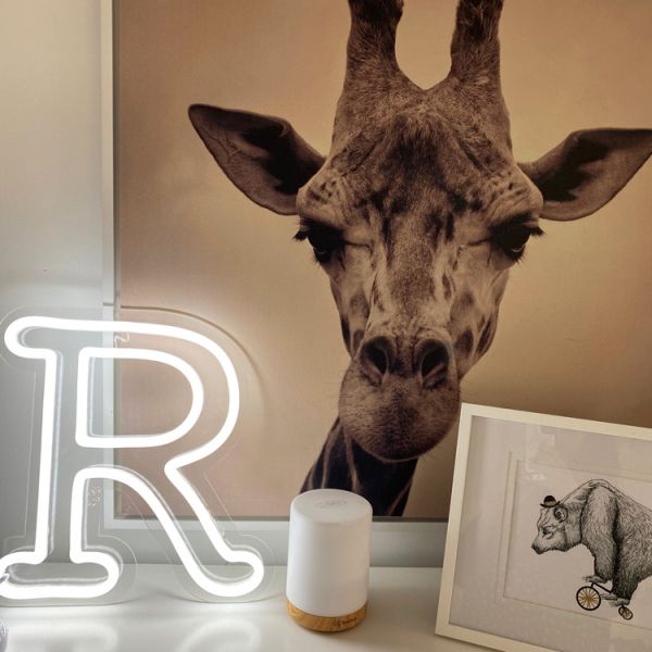 The Letter R in gorgeous LED Neon - and a friendly giraffe - photo CustomNeon.com