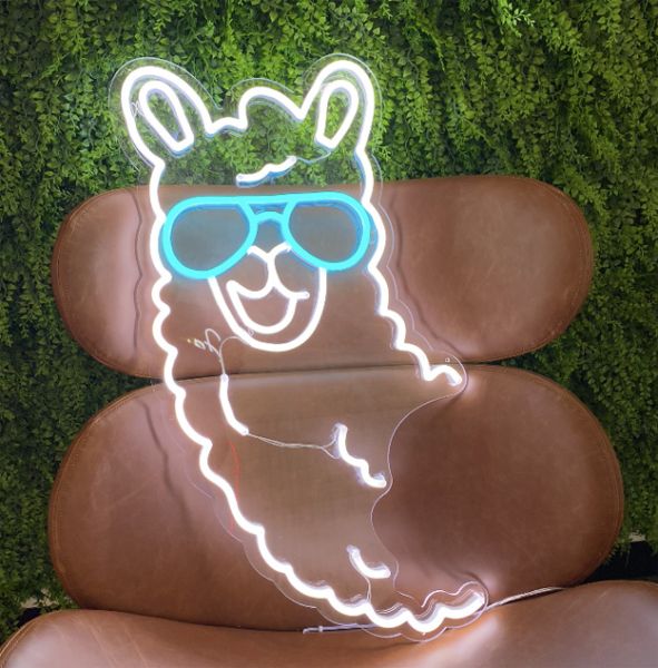 Llama neon light shown on a chair against a green wall - photo from CustomNeon.com