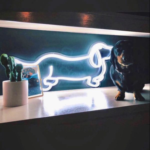 Dachshund / Hot Dog Neon Art  - photo from CustomNeon.com