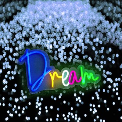Dream Multicolored Neon Light