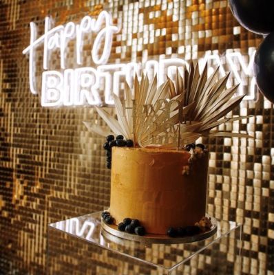 Happy Birthday LED Neon Party Sign