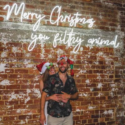 Merry Christmas You Filthy Animal