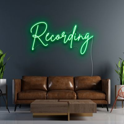 Recording Sign Light