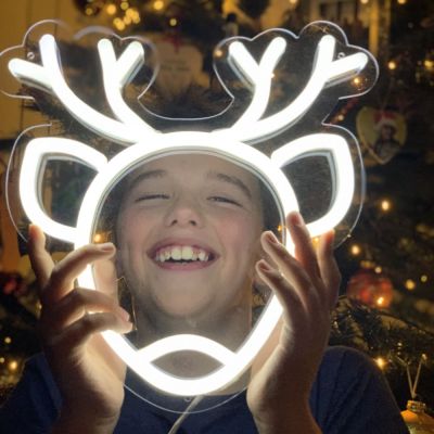 Light Up Reindeer Sign