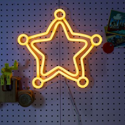 Sheriffs Star Badge
