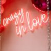 Crazy in Love LED neon light shown mounted on a wall with balloons - photo from CustomNeon.com