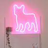 LED Neon home decor - French Bulldog shown here in pink  - from Custom Neon®