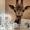 The Letter R in gorgeous LED Neon - and a friendly giraffe - photo CustomNeon.com