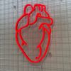 Red anatomical heart Custom Neon® sign on clear acrylic backing