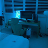 The Letter P in bright LED Neon shown in a bedroom - from Custom Neon®
