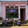 LED Neon Flex open sign in a modern cursive font surrounded by an oblong frame shown in a florist's shop window - from CustomNeon.com