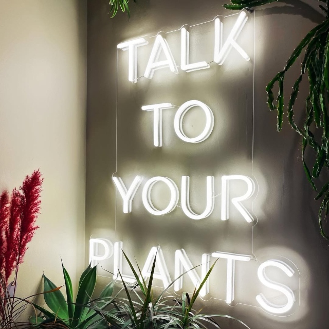 Columbus retailer Custom Neon® word sign @thebrasshand