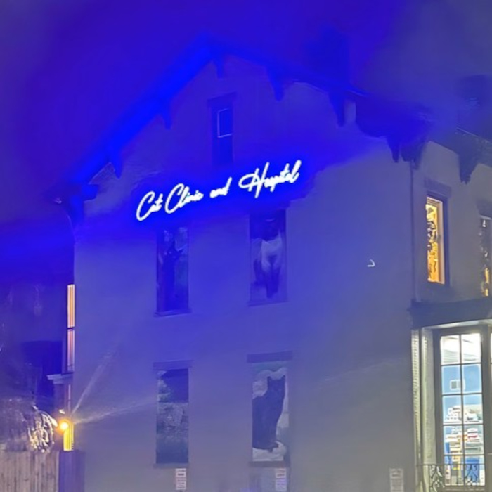 Deep blue Custom Neon® weatherproof sign reading Cat Clinic and Hospital on the exterior of the building in the dark @catclinicandhospitalpittsburgh