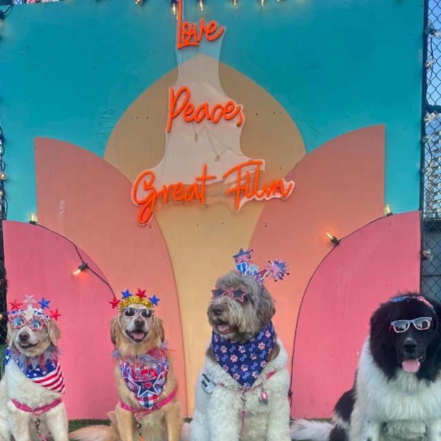 Orange love peace, great film Custom Neon® selfie wall sign @rooftopcinemaclub