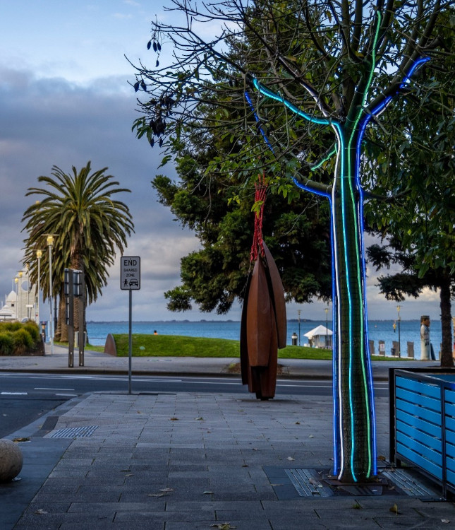 @cityofgreatergeelong street trees draped in colorful LED neon rope by Custom Neon®
