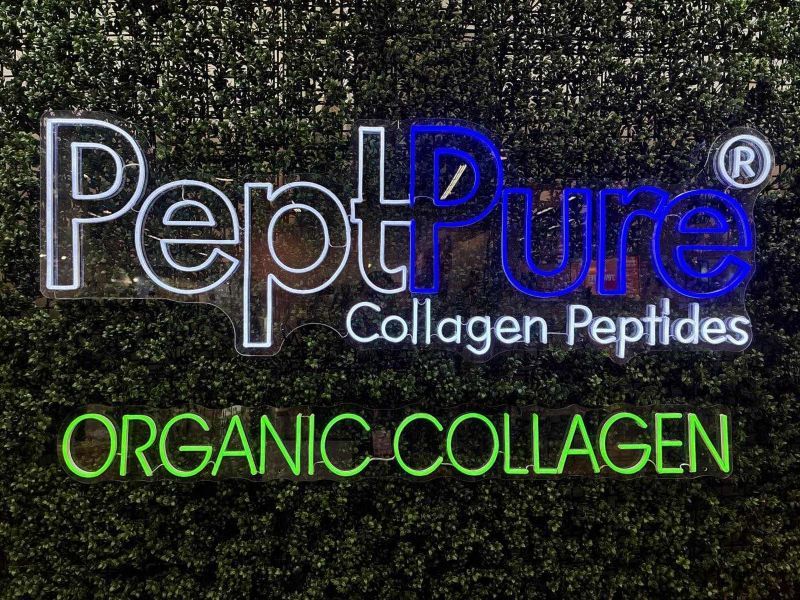 PeptPure Collagen Peptides Custom Neon® sign with an Organic Collagen tagline against a green wall