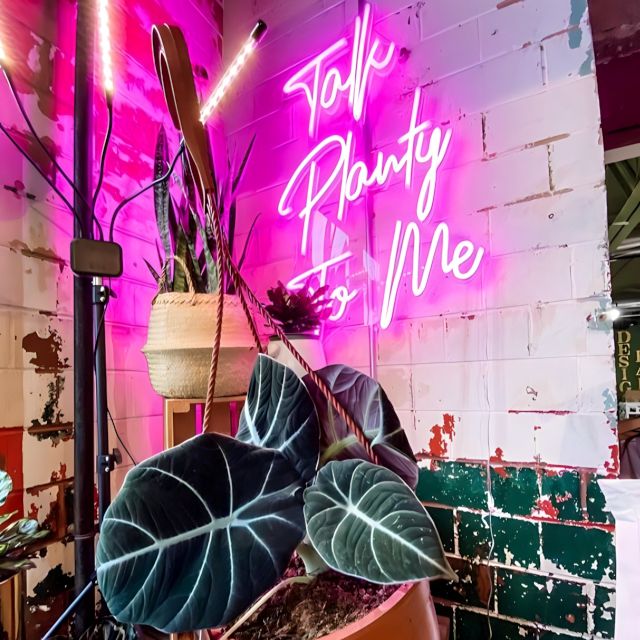 Talk Planty to Me pink Custom Neon® sign on a distressed brick wall with plants in the foreground growgiesenplantshop.com @botanicatgrow @growplantbar