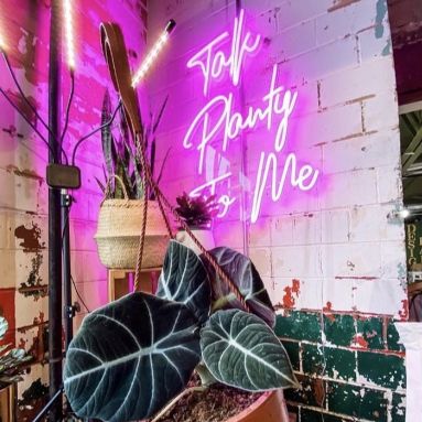 Talk Planty to Me Custom Neon® tagline sign for @growplantbar