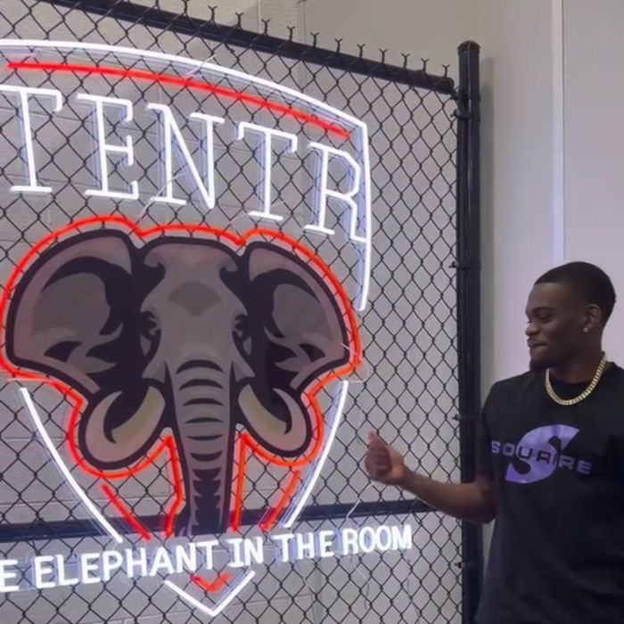 Tentr elephant crest sign with LED neon outline mounted on a chain link fence in Atlanta