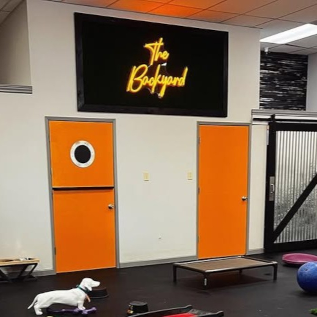 the backyard orange LED Custom Neon® sign on a grass @dogees_place @outofhismindd